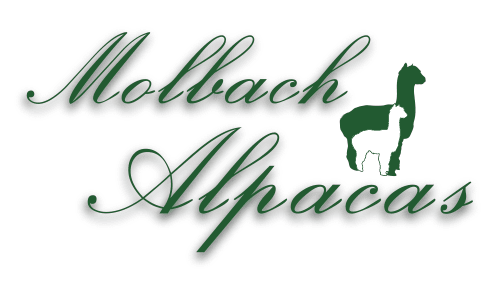 Molbach Alpacas Logo