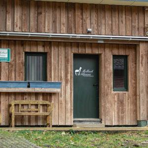 Molbach Alpacas Ambiente 01