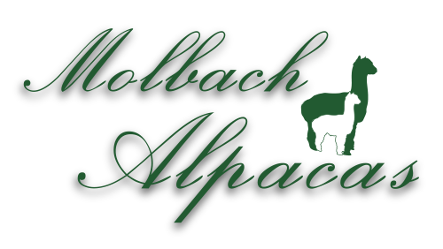 Molbach Alpacas Logo