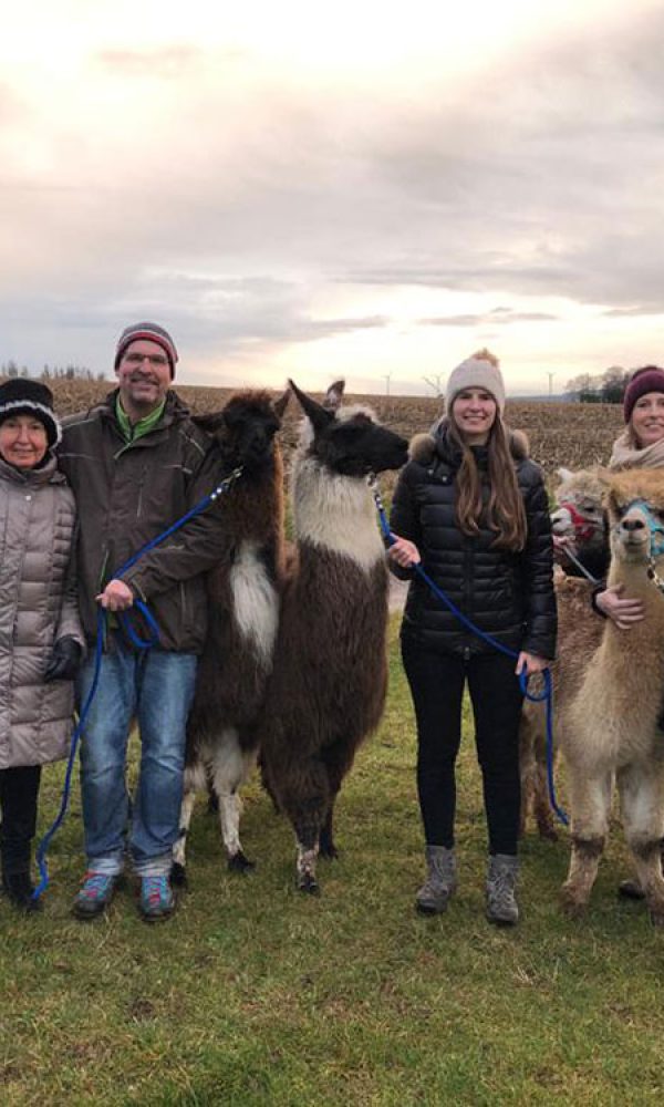Mit Lamas und Alpakas durch die Eifel wandern